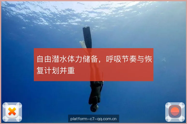 自由潜水体力储备，呼吸节奏与恢复计划并重